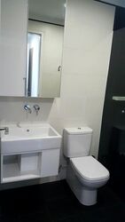 Village @ Pasir Panjang (D5), Condominium #450262121